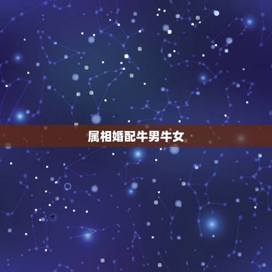 属相婚配牛男牛女，男属牛的和什么属相相配最佳 – 百度·