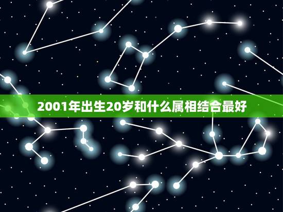 2001年出生20岁和什么属相结合最好，2001年属相属什么