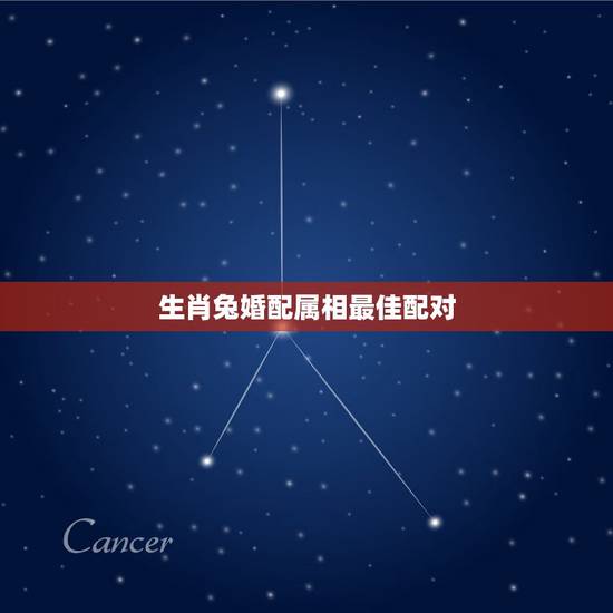 生肖兔婚配属相最佳配对，属相婚配，属兔的和什么属相最配