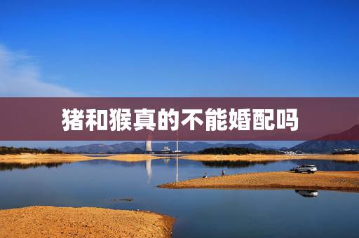 猪和猴真的不能婚配吗，猴跟猴结婚好不好