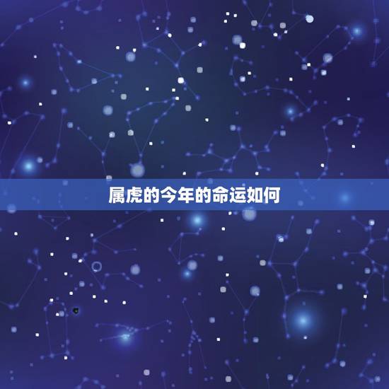 属虎的今年的命运如何，属虎的人的运气怎么样