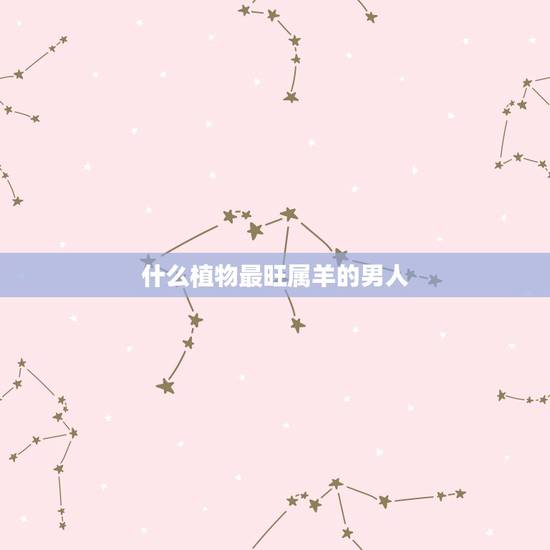 什么植物最旺属羊的男人,属羊的招财植物 什么植物最旺属羊的男人,属羊的招财植物