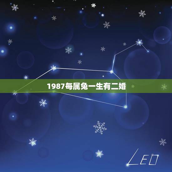 1987每属兔一生有二婚,1987每属兔一生有二婚 1987每属兔一生有二婚,1987每属兔一生有二婚