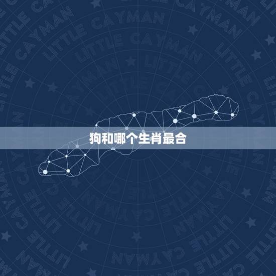 狗和哪个生肖最合,跟狗最合的生肖是什么 狗和哪个生肖最合,跟狗最合的生肖是什么