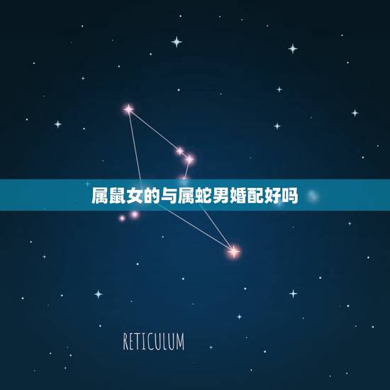 属鼠女的与属蛇男婚配好吗，男属鼠女属蛇配吗_鼠和蛇配吗？