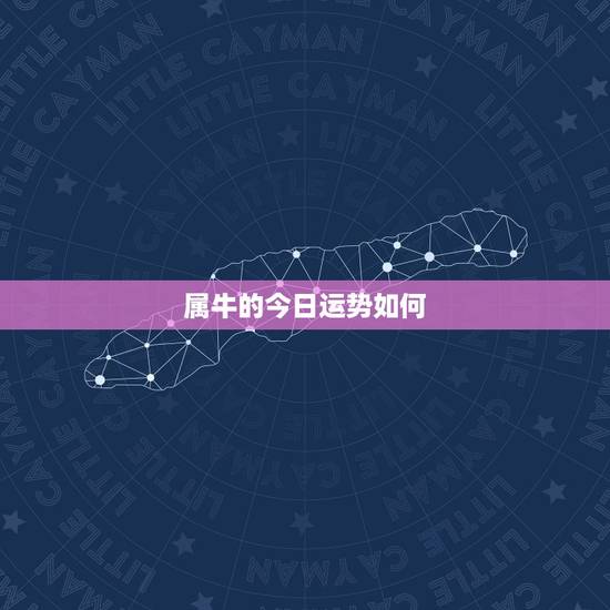 属牛的今日运势如何，属牛的人今年运势如何