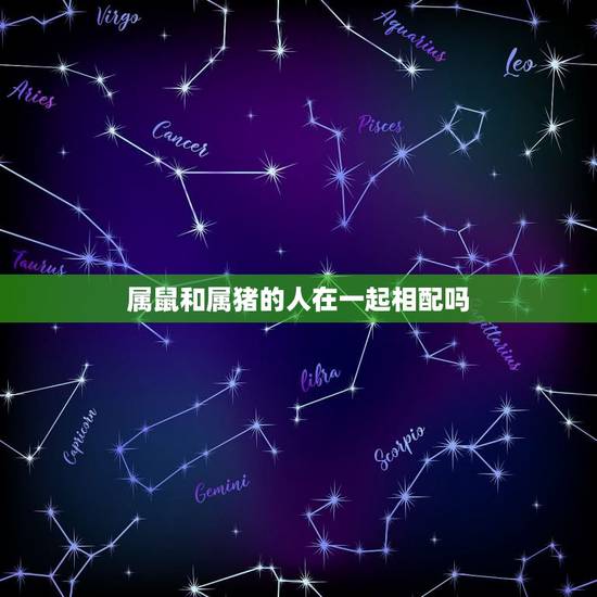 属鼠和属猪的人在一起相配吗，女属猪的更佳婚配