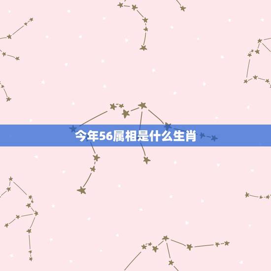 今年56属相是什么生肖，56岁时属什么的