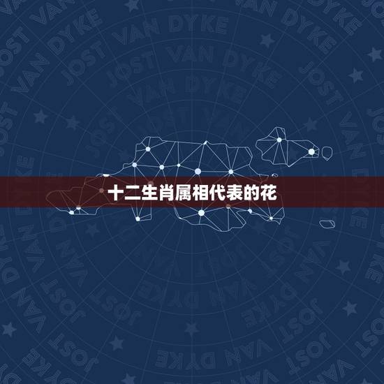 十二生肖属相代表的花,十二生肖的幸运花 十二生肖属相代表的花,十二生肖的幸运花