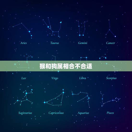 猴和狗属相合不合适，属猴的和属狗的婚姻配不配