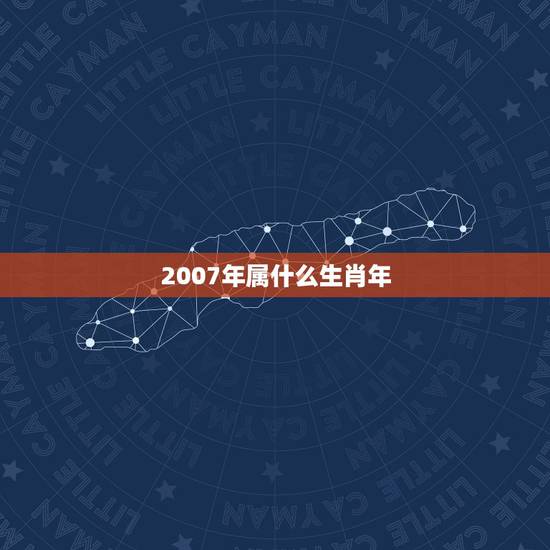 2007年属什么生肖年，2007年是什么命