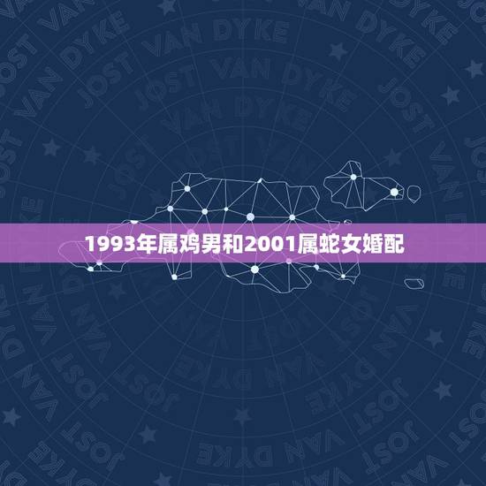1993年属鸡男和2001属蛇女婚配，我是属鸡1993年的，和我女朋友