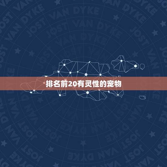 排名前20有灵性的宠物，中国吉祥动物有那些呢？