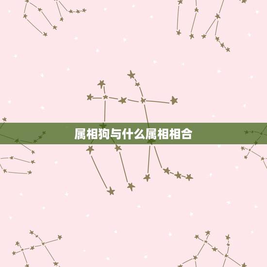 属相狗与什么属相相合,狗与什么属相最配 属相狗与什么属相相合,狗与什么属相最配
