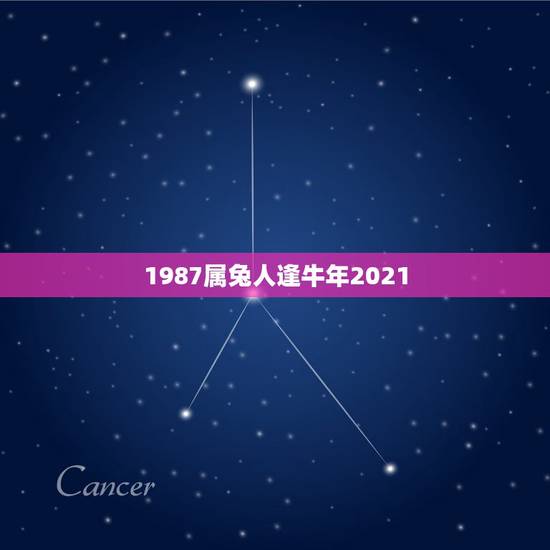 1987属兔人逢牛年2021，兔人牛年运势2021运势详解