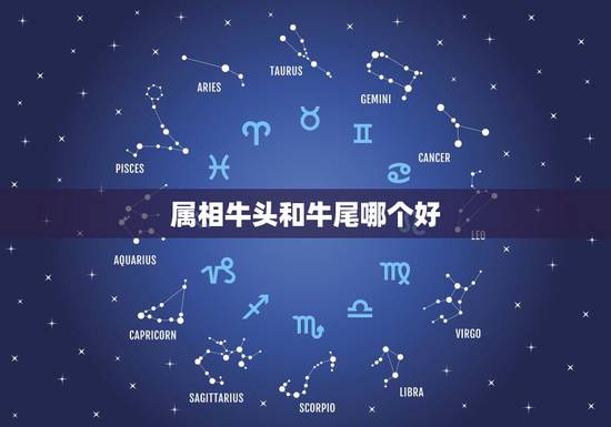 属相牛头和牛尾哪个好，猪尾好还是牛尾好