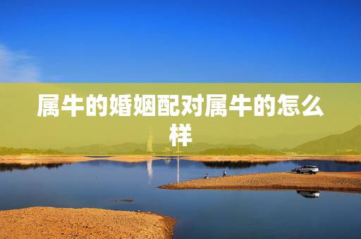 属牛的婚姻配对属牛的怎么样,属虎人最苦命出生时辰 属牛的婚姻配对属牛的怎么样,属虎人最苦命出生时辰