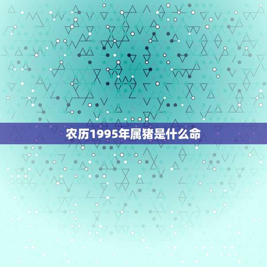 农历1995年属猪是什么命，1995年是什么命？1995年出生的属猪人