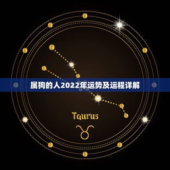 属狗的人2022年运势及运程详解，2022年12生肖运势解析
