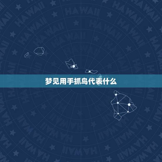 梦见用手抓鸟代表什么,梦见抓鸟 是什么预兆 梦见用手抓鸟代表什么,梦见抓鸟 是什么预兆