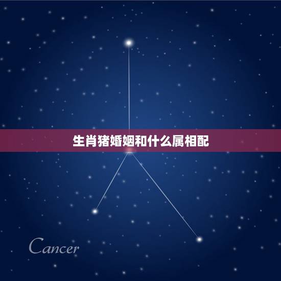 生肖猪婚姻和什么属相配,猪和什么属相最配 生肖猪婚姻和什么属相配,猪和什么属相最配