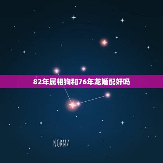 82年属相狗和76年龙婚配好吗，76年龙与82年狗婚配会怎样