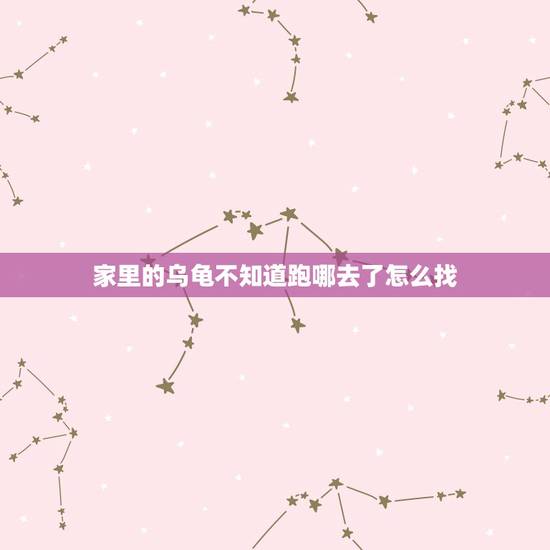 家里的乌龟不知道跑哪去了怎么找，乌龟跑的找不到了，在屋子里怎么办？