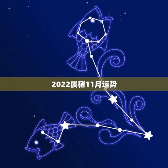 2022属猪11月运势,2022 苏珊米勒11月运势 2022属猪11月运势,2022 苏珊米勒11月运势