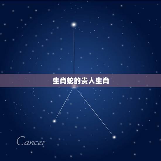 生肖蛇的贵人生肖，生肖蛇的事业贵人属相