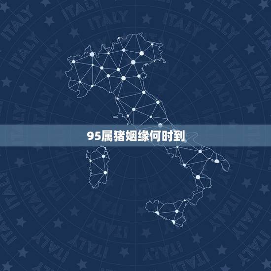 95属猪姻缘何时到，九五年属猪的婚姻配对
