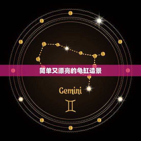 简单又漂亮的龟缸造景，新手刚开始养龟，学习如何养，龟缸造景种什么