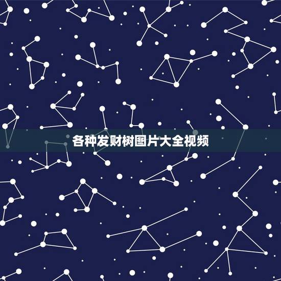 各种发财树图片大全视频,发财树是什么样子 各种发财树图片大全视频,发财树是什么样子