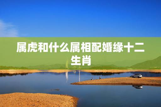 属虎和什么属相配婚缘十二生肖，属虎的和什么属相最配