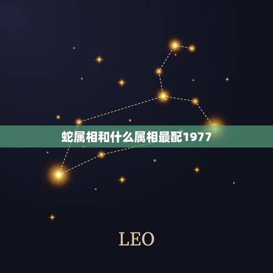 蛇属相和什么属相最配1977,属老虎的和什么属相最配 蛇属相和什么属相最配1977,属老虎的和什么属相最配