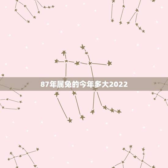 87年属兔的今年多大2022,属牛的今年多大 87年属兔的今年多大2022,属牛的今年多大
