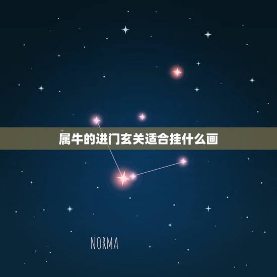 属牛的进门玄关适合挂什么画，属牛床头挂属马画好不好
