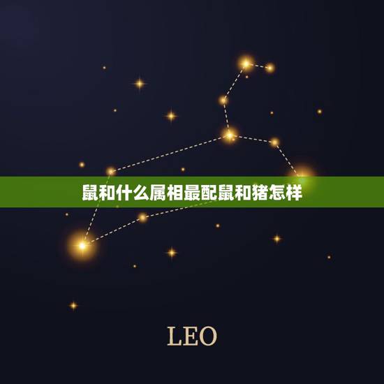 鼠和什么属相最配鼠和猪怎样,属鼠和属猪的相配吗 鼠和什么属相最配鼠和猪怎样,属鼠和属猪的相配吗