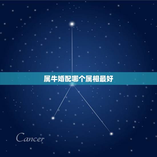 属牛婚配哪个属相最好，女人生肖属牛和什么生肖婚配最好