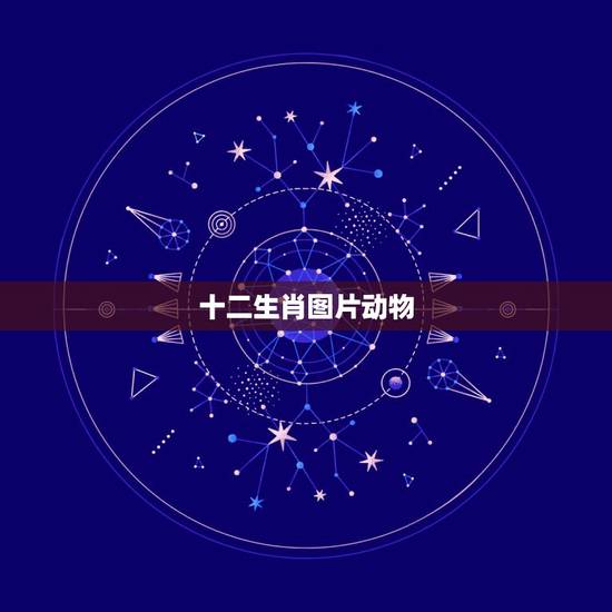 十二生肖图片动物 十二生肖图片来看一下 十二生肖图片动物 十二生肖图片来看一下