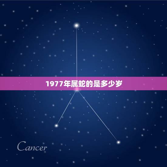1977年属蛇的是多少岁,属蛇人今年几岁 1977年属蛇的是多少岁,属蛇人今年几岁