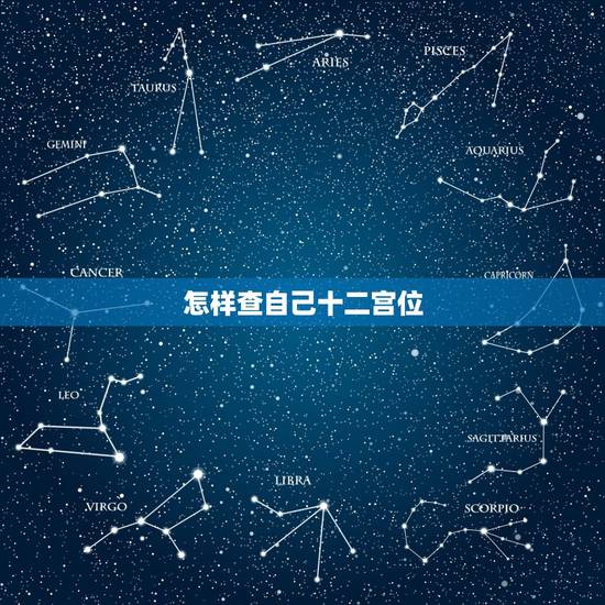 怎样查自己十二宫位，怎么知道自己的命宫主星