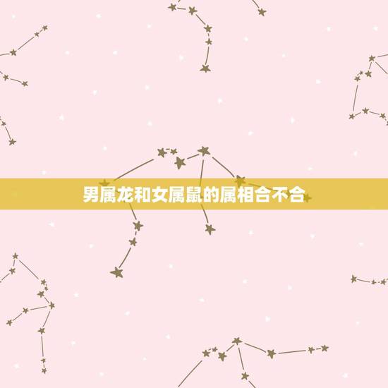 男属龙和女属鼠的属相合不合,属龙和属鼠相配吗 男属龙和女属鼠的属相合不合,属龙和属鼠相配吗