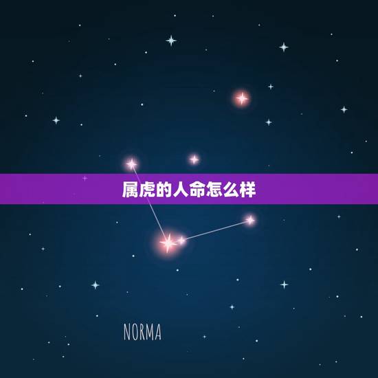 属虎的人命怎么样,虎年各月出生人的命运 属虎的人命怎么样,虎年各月出生人的命运