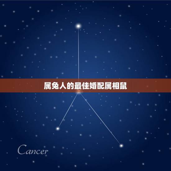 属兔人的最佳婚配属相鼠,属兔和属鼠的人可以结婚吗? 属兔人的最佳婚配属相鼠,属兔和属鼠的人可以结婚吗?