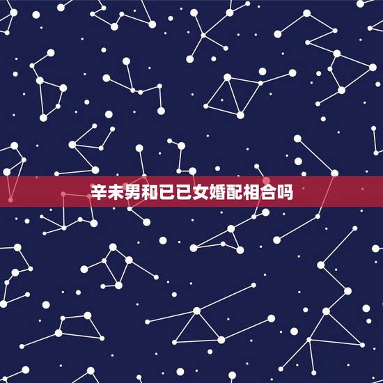 辛未男和已已女婚配相合吗，男已巳蛇7月和女辛未羊1月的配不
