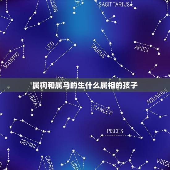 属狗和属马的生什么属相的孩子，老公属马，我属狗，我们生什么属相的宝宝最