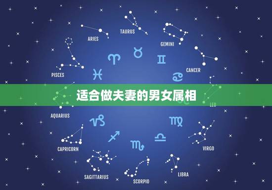 适合做夫妻的男女属相，适合做夫妻的男女属相
