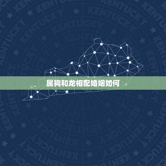 属狗和龙相配婚姻如何，82男狗88女龙婚姻状况