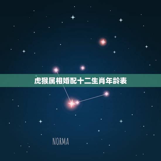 虎猴属相婚配十二生肖年龄表，虎猴婚姻相配好吗