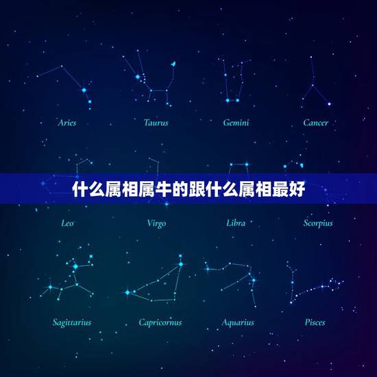 什么属相属牛的跟什么属相最好，属牛和什么属相最配